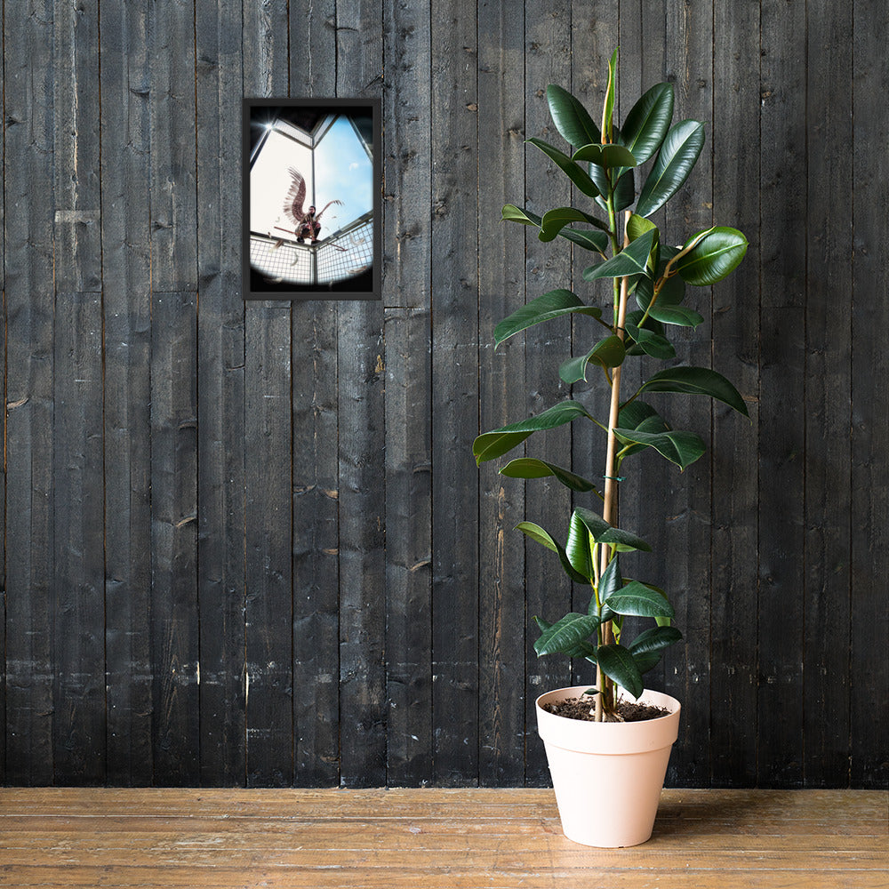 Horus Framed poster (JVaz Designs)